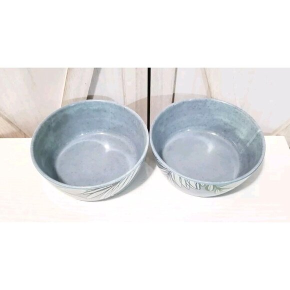Crate and Barrel Cruz Melamine Botanical Soup Cereal Bowl Set 2 HTF  Appx. 7x5x3 - Picture 3 of 7